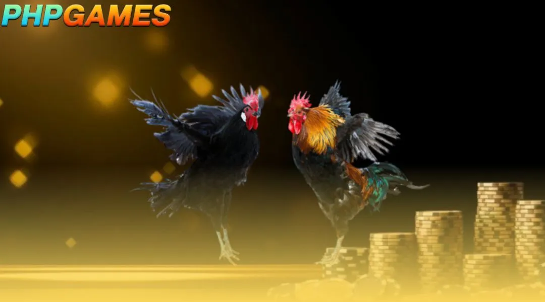 A brief overview of the attractive DS88 cockfighting hall at PHPGAMES