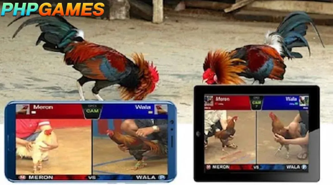 DS88 offers a wide variety of betting options